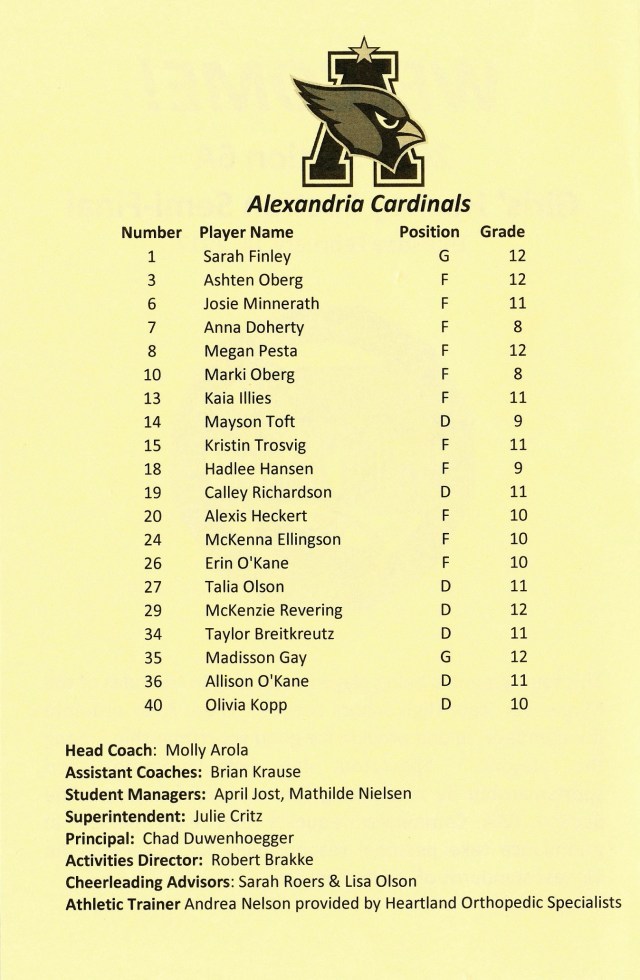 girls-hockey-sections-17-2-copy