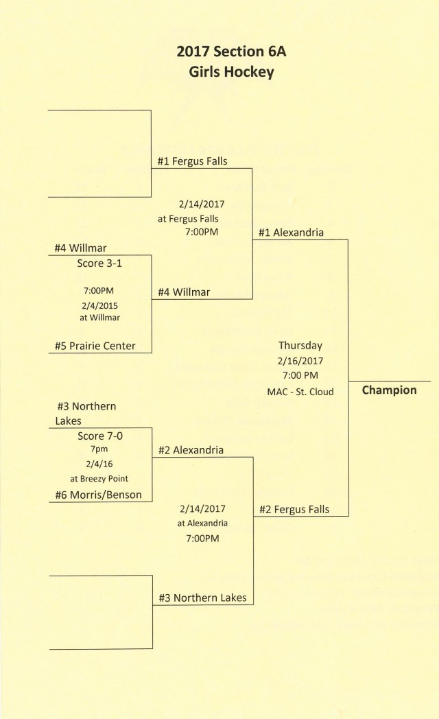 girls-hockey-sections-17-4-copy