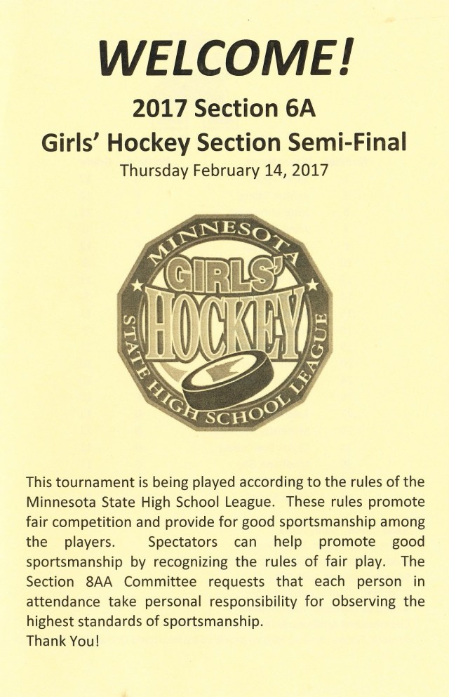 girls-hockey-sections-17-copy