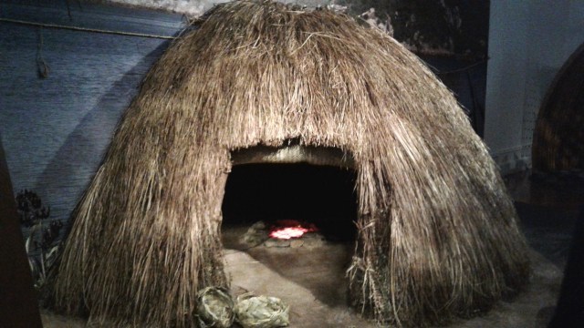 20170122_105847 - Copy