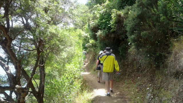 20170124_121946 - Copy