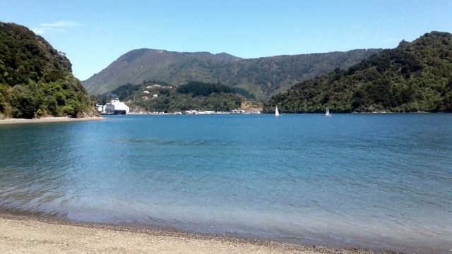 20170124_124138 - Copy