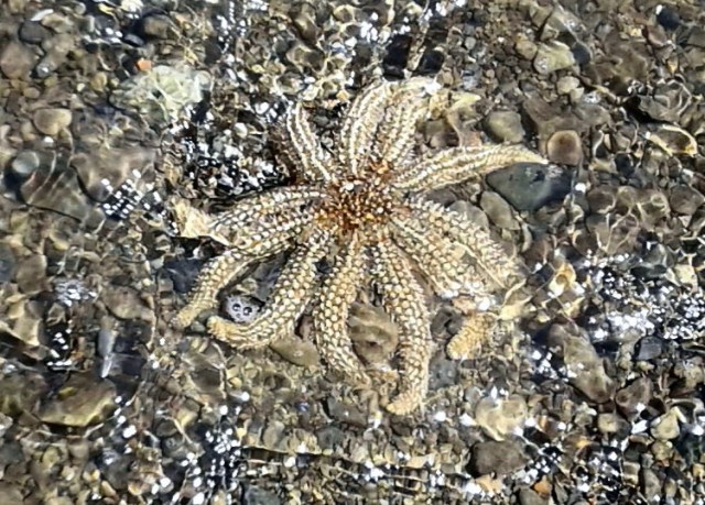 20170124_124407-1 - Copy