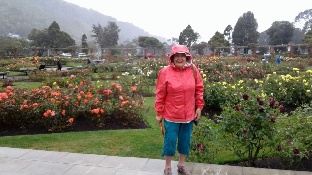 20170125_101409 - Copy