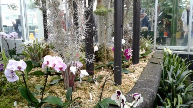 20170125_101839 - Copy