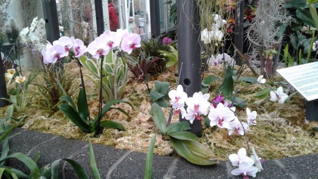 20170125_101858 - Copy