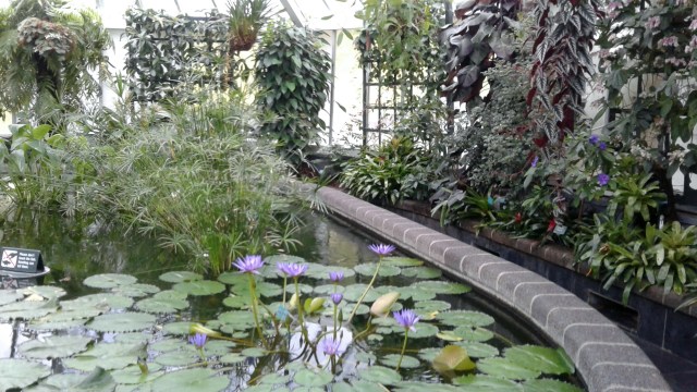 20170125_102029 - Copy