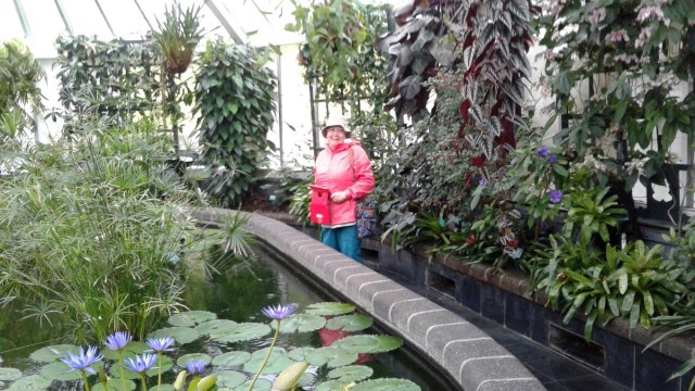 20170125_102047 - Copy