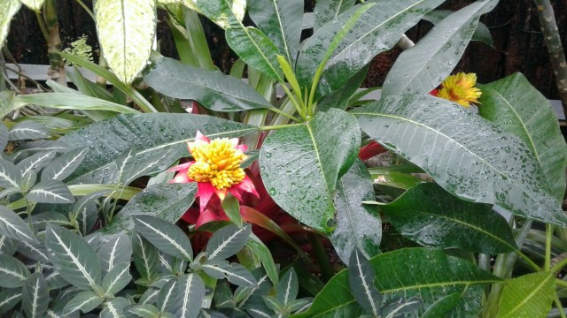 20170125_102201 - Copy