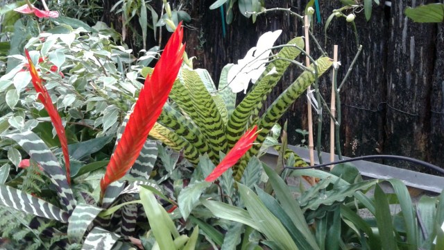 20170125_102240 - Copy