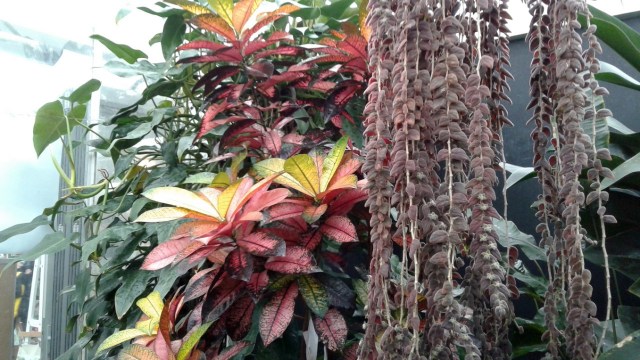 20170125_102313 - Copy