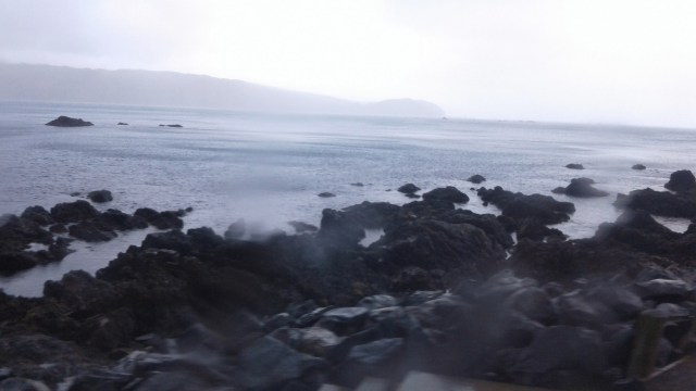 20170125_114948 - Copy