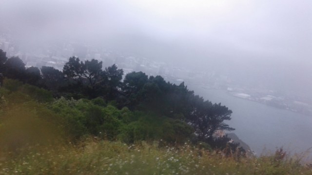 20170125_121525 - Copy