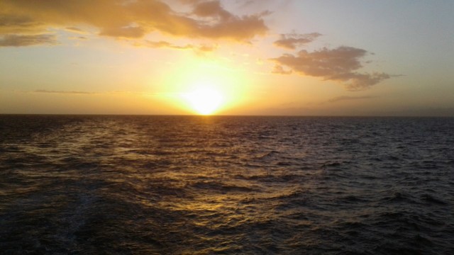 20170125_203800 - Copy