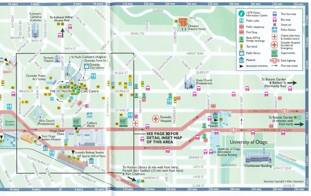 dunedin3-copy