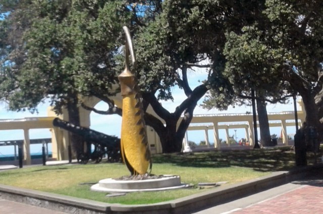 20170126_120913 - Copy