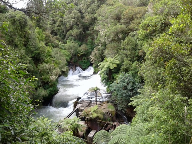 20170127_102750 - Copy