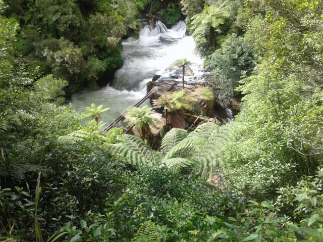 20170127_103050 - Copy