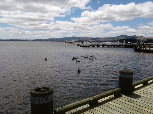 20170127_121553 - Copy