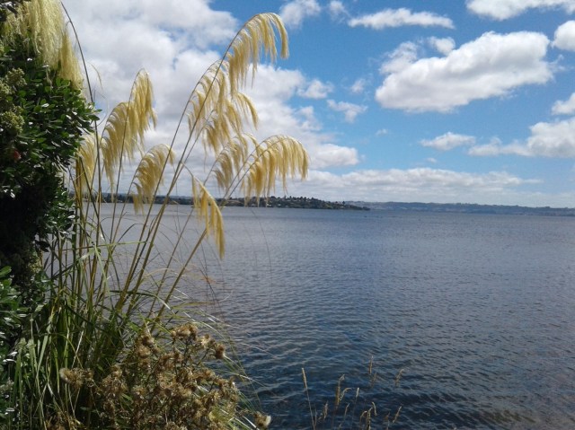 20170127_121947 - Copy