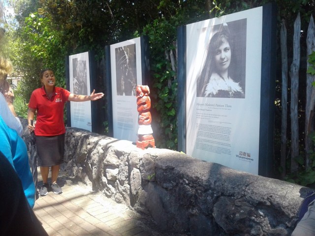 20170127_130240 - Copy