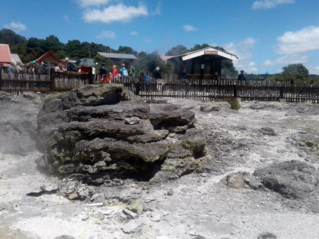 20170127_131319 - Copy