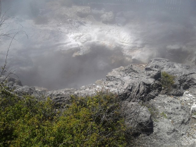 20170127_132140 - Copy