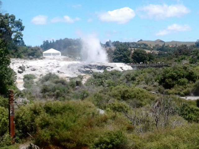 20170127_132409 - Copy