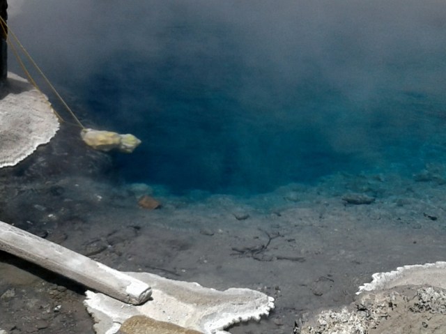 20170127_133619 - Copy