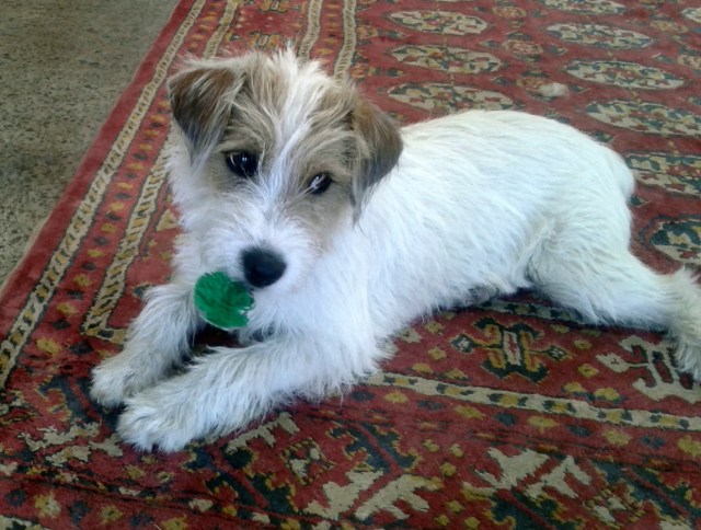 20170127_161601 - Copy