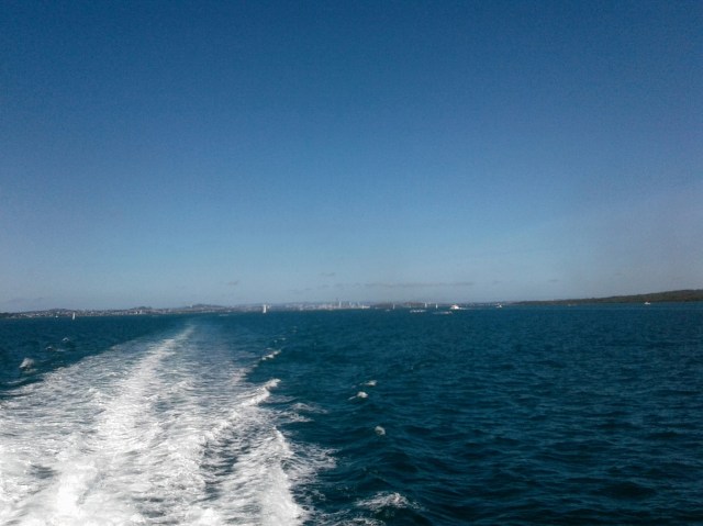 20170130_102954 - Copy