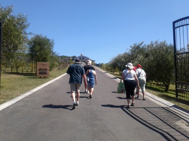 20170130_112610 - Copy