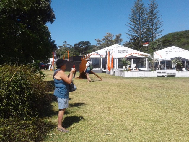 20170130_151315 - Copy