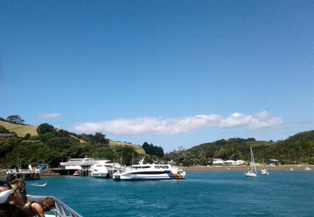 20170130_154429-1 - Copy