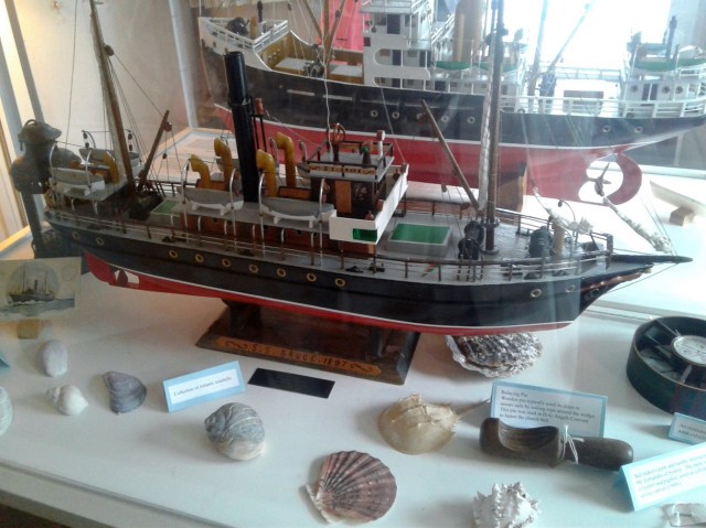 20170510_113645 - Copy