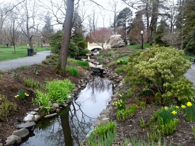 20170511_093135 - Copy