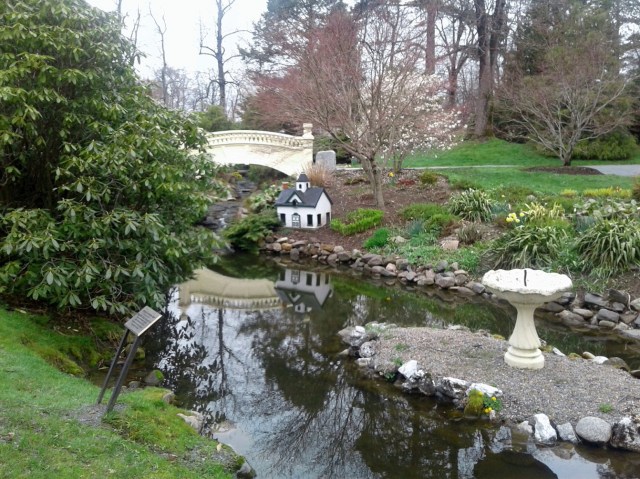 20170511_093226 - Copy