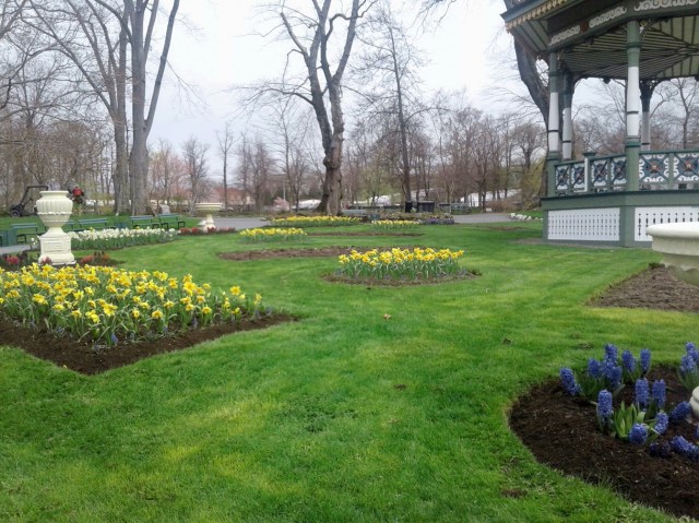 20170511_093600 - Copy