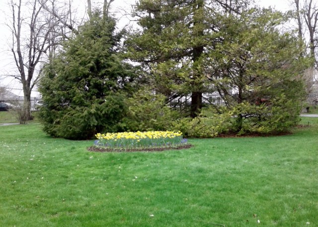 20170511_094138 - Copy