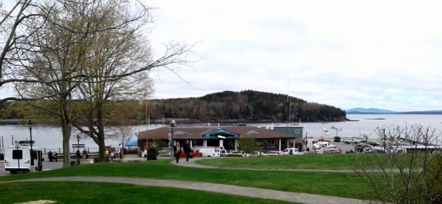 20170512_092221-1 - Copy