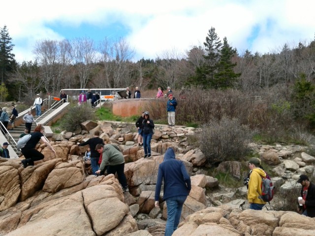 20170512_115102 - Copy