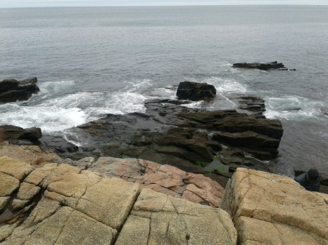 20170512_115136 - Copy