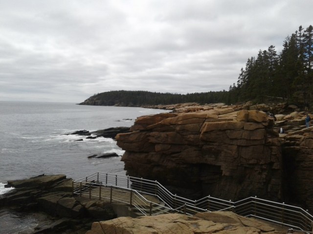 20170512_115157 - Copy