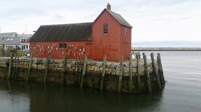 20170515_112743 - Copy