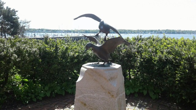 20170516_103456 - Copy