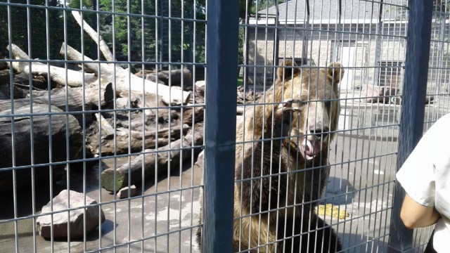 20170811_113700 - Copy