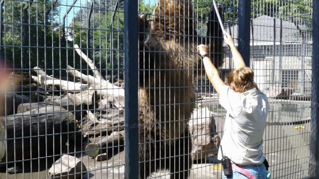 20170811_113759 - Copy