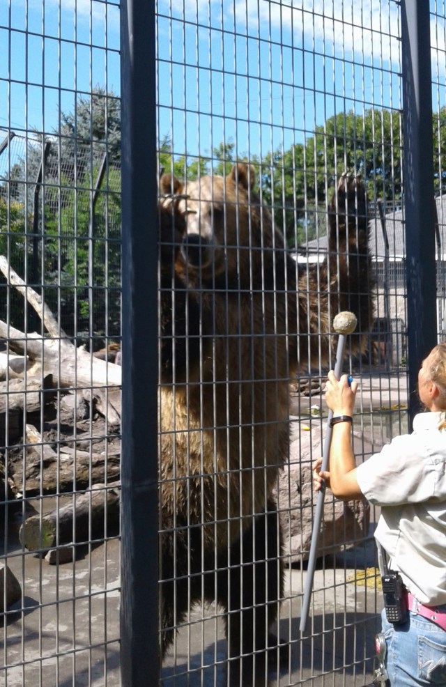 20170811_113805 - Copy