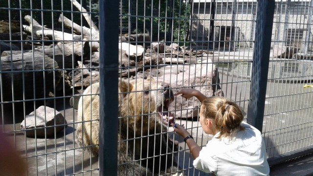 20170811_113827 - Copy