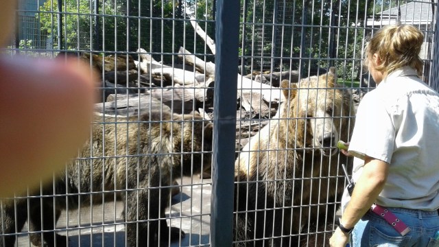 20170811_114008 - Copy